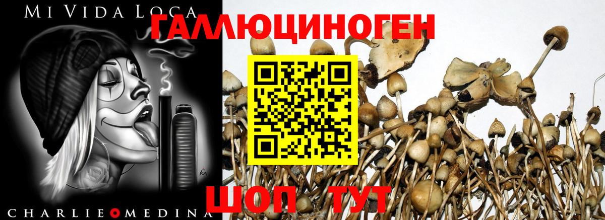 Псилоцибиновые грибы мухоморы Арзамас